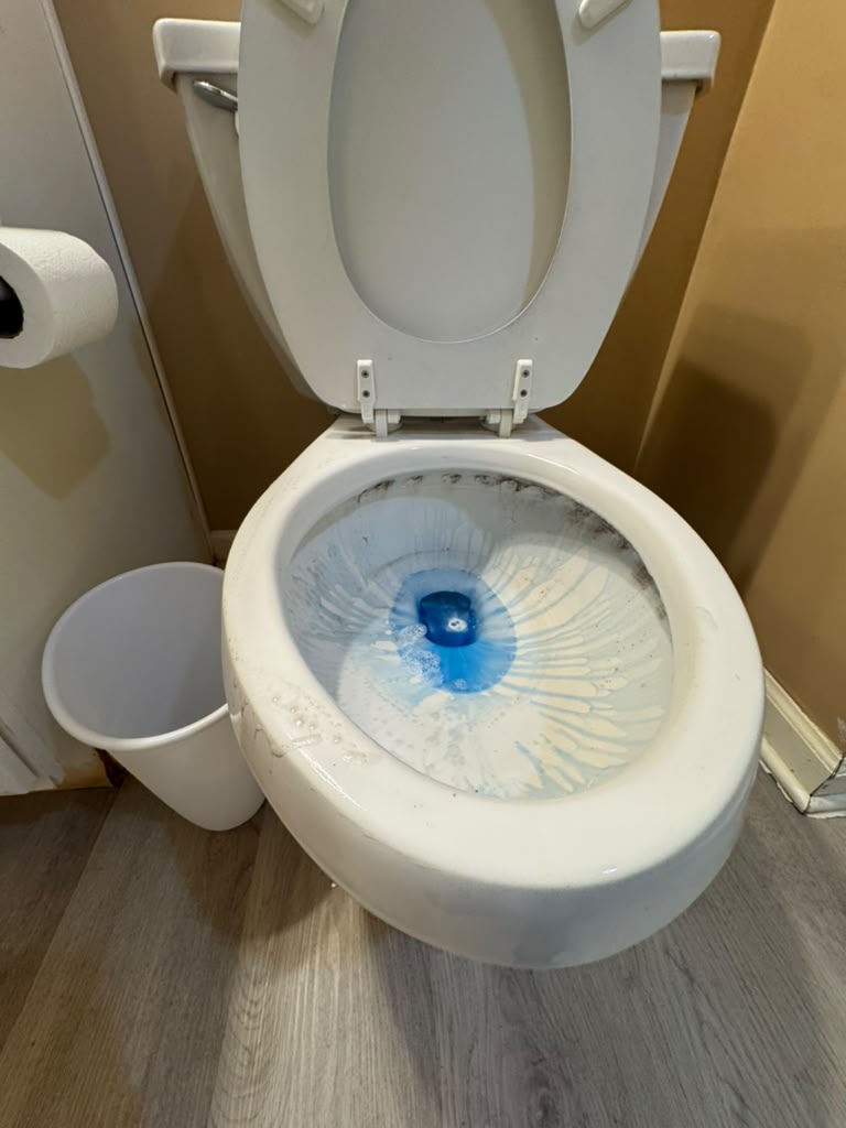 Bathroom deep cleaning in progress